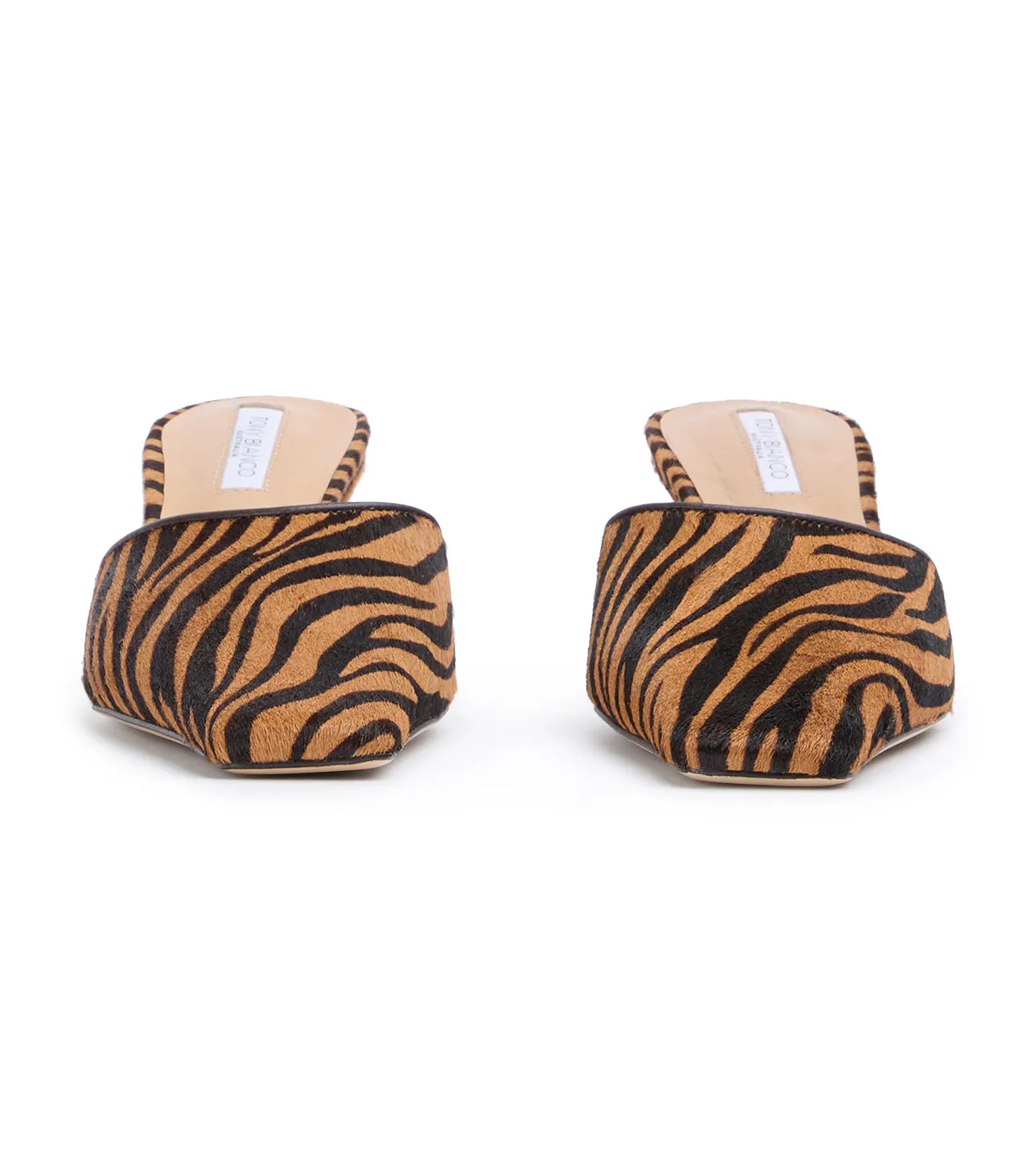 Zubi Brown Zebra